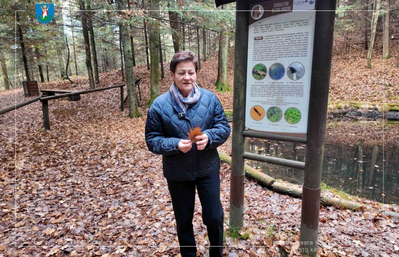 Bożena Borkowska w Lasku Falkowskim