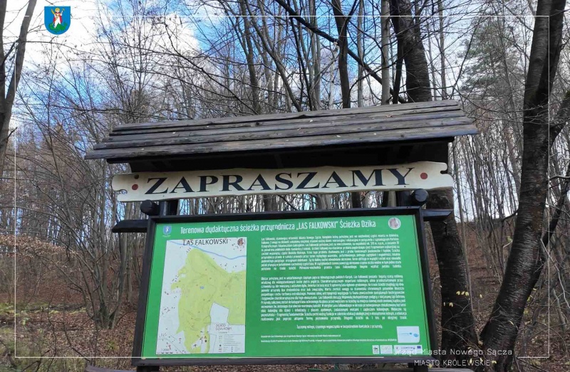 Tablica informacyjna w Lasku Falkowskim