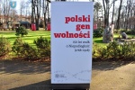 Wystawa na plantach