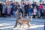 WOŚP