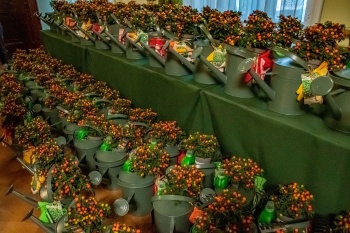 Zdjęcie do artykułu Podsumowanie XXVII edycji konkursu „Nowy Sącz Miastem Kwiatów i Zieleni”