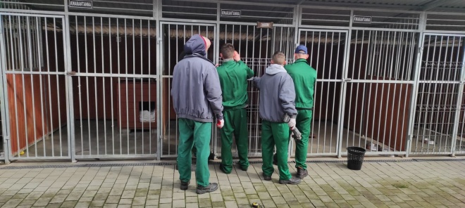 Osadrni pracujący przy schronisku