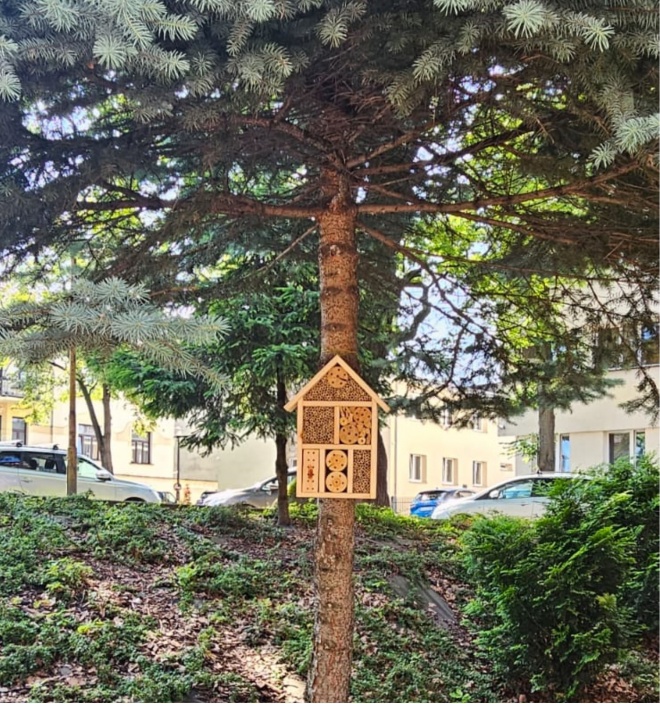 Domki dl owadów