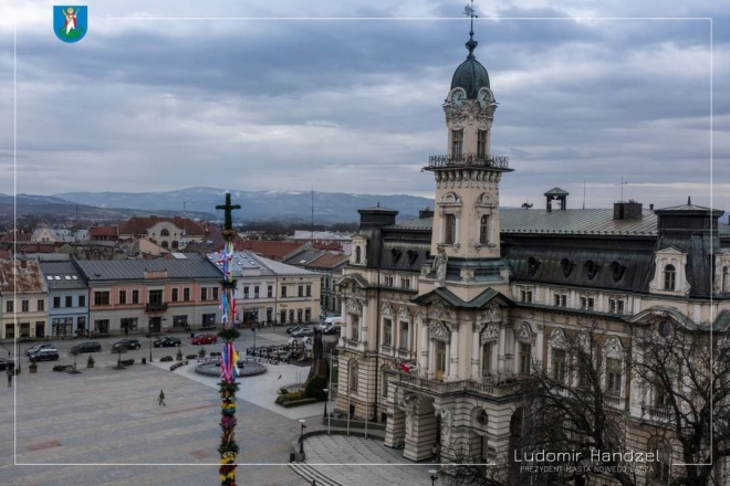Palma na sądeckim rynku