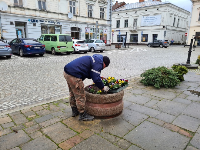 Sadzenie kwiatów