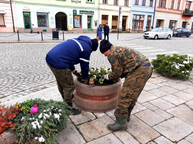 Sadzenie kwiatów