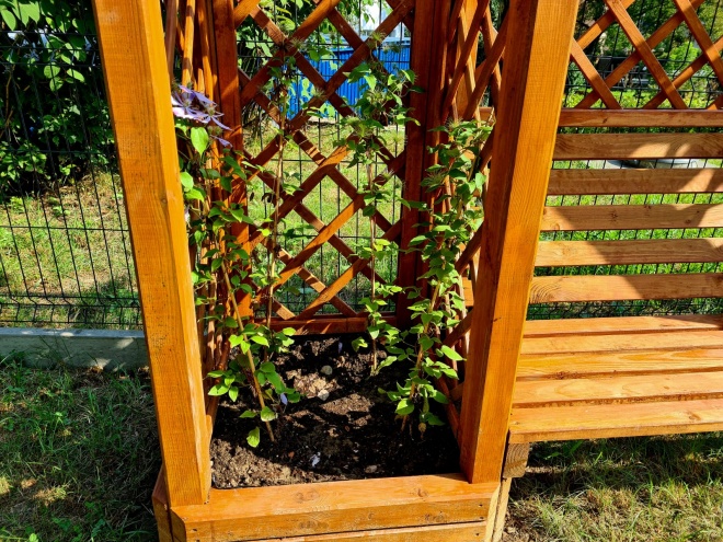 Pergola z donicą