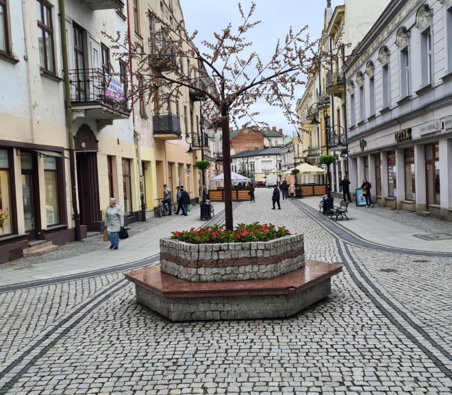 Drzewko szczęścia na Jagiellońskiej