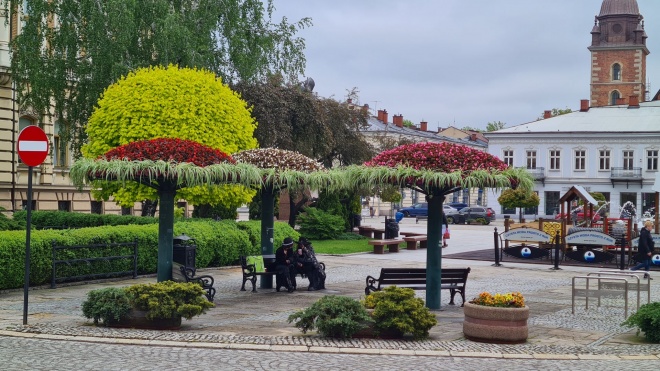 Parasolki Rynek