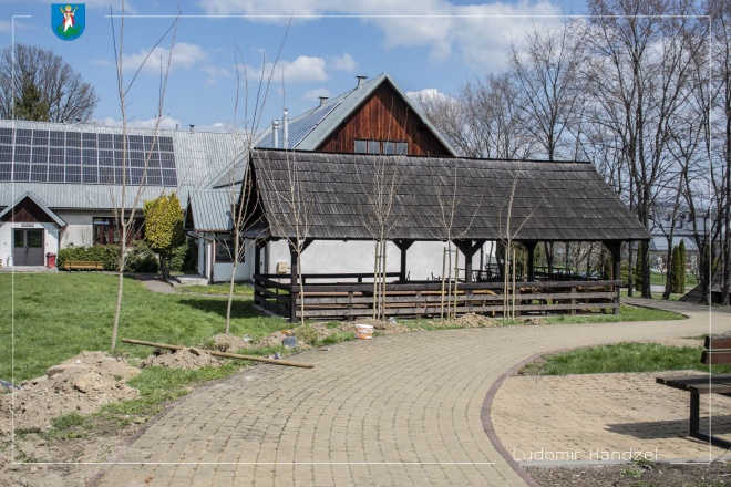 Zasadzone drzewka.