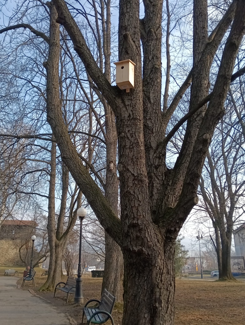 Zamontowana budka 